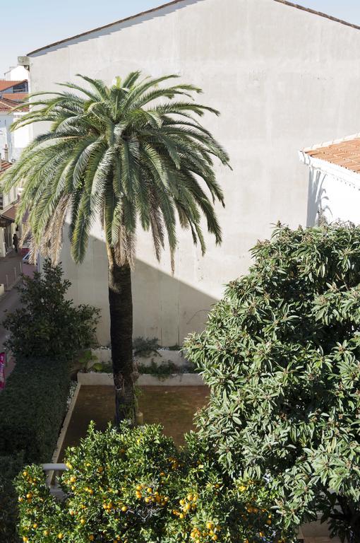 Appartement Cannes rue Marceau Chambre photo